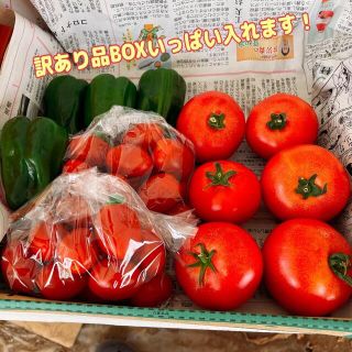 訳あり夏野菜詰め合わせ(野菜)