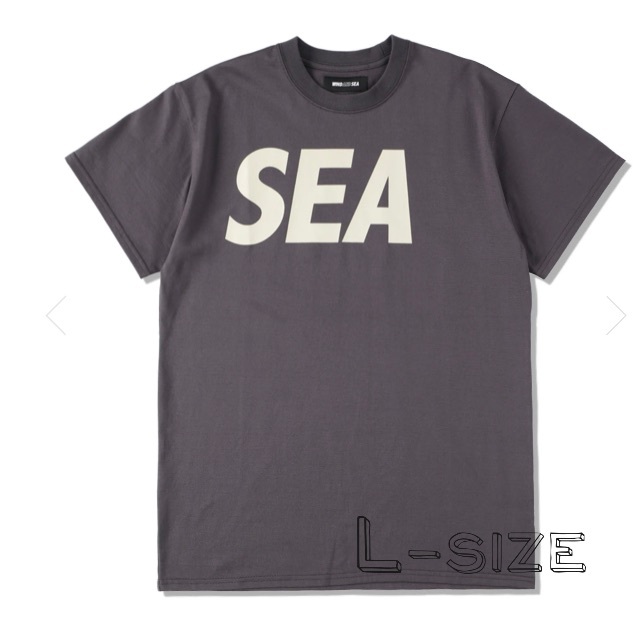 WIND AND SEA Tシャツ CHARCOAL Lサイズ