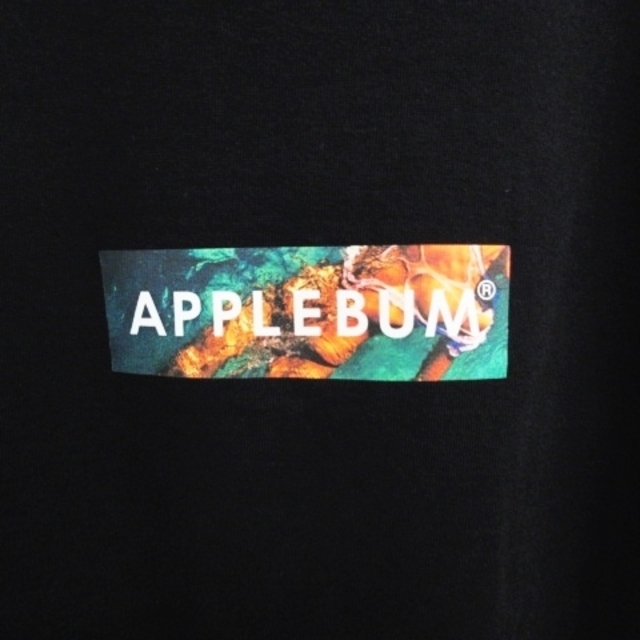 APPLEBUM(アップルバム)のアップルバム Beach Box T-shirt Tシャツ BOXロゴ L メンズのトップス(Tシャツ/カットソー(半袖/袖なし))の商品写真