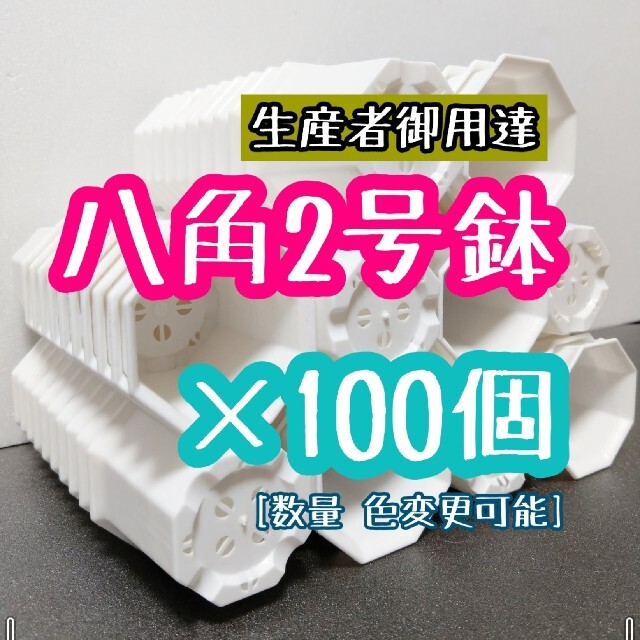 八角鉢 ◎100個◎ 白 ホワイト 2号 2寸 プラ鉢 ミニ鉢 シャトル鉢 ハンドメイドのフラワー/ガーデン(プランター)の商品写真