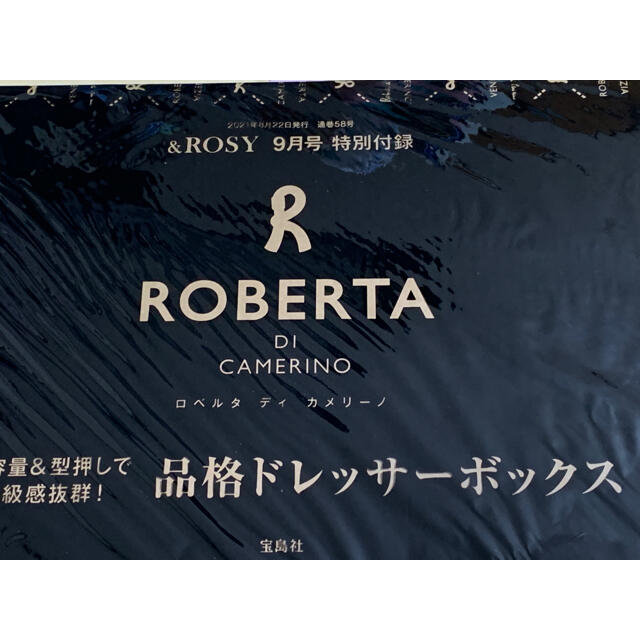 ROBERTA DI CAMERINO(ロベルタディカメリーノ)の&ROSY 付録 レディースのファッション小物(ポーチ)の商品写真