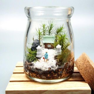 京都 苔寺【苔テラリウム・手作りキット一式】コルク付きビン(その他)