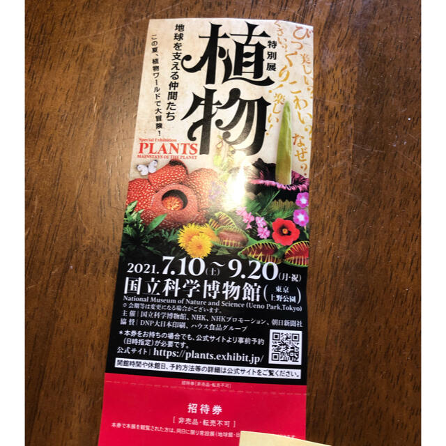 植物展 チケットのイベント(その他)の商品写真