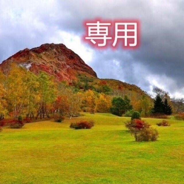 Seal限定商品 ッンデレ小悪魔様専用 新品即決 Www Globaldentalcentre Org Seal限定商品 ッンデレ小悪魔様専用 新品即決 Www Globaldentalcentre Org