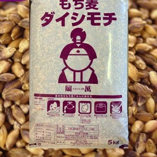 新麦　もち麦　ダイシモチ(米/穀物)