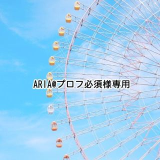 アンドロイド(ANDROID)のARIA@プロフ必須様専用 Type-C1m5本 microUSB3本セット(バッテリー/充電器)