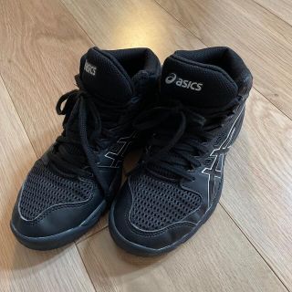 アシックス(asics)のバスケットシューズ 21.0 asics(バスケットボール)