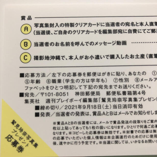 鷲見玲奈ファースト&ラスト写真集 『すみにおけない』 エンタメ/ホビーの本(アート/エンタメ)の商品写真