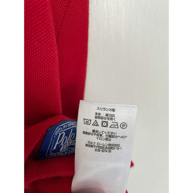 polo ralph lauren MLB CUBS メジャーリーグ | thelongleash.com
