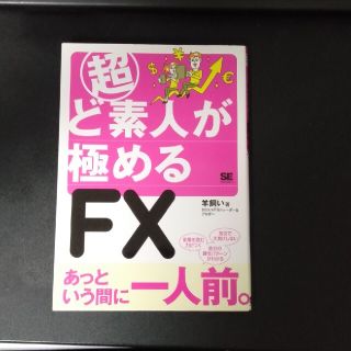 超ど素人が極めるＦＸ(その他)