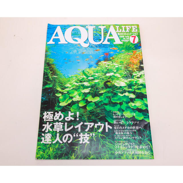 月刊アクアライフ　2008年7月　極めよ！水草レイアウト達人の技 エンタメ/ホビーの雑誌(趣味/スポーツ)の商品写真