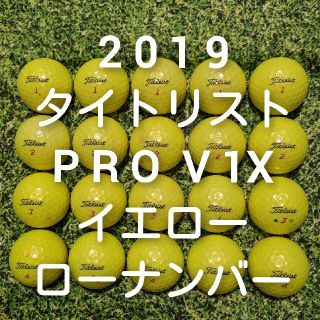 タイトリスト(Titleist)の2019 タイトリスト　PRO V1X  ロストボール　ゴルフボール　243(その他)