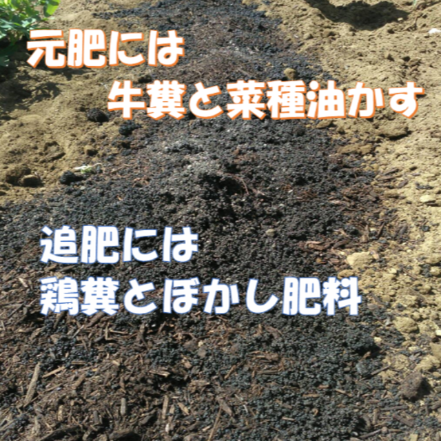 ～暑さに負けるな　夏野菜詰め合わせ～　７０サイズ　クール便にて 食品/飲料/酒の食品(野菜)の商品写真