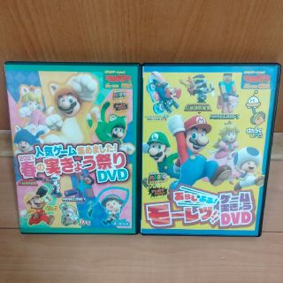 カドカワショテン(角川書店)のてれびげーむマガジン　付録DVD 2枚　さなぴー(ゲーム)