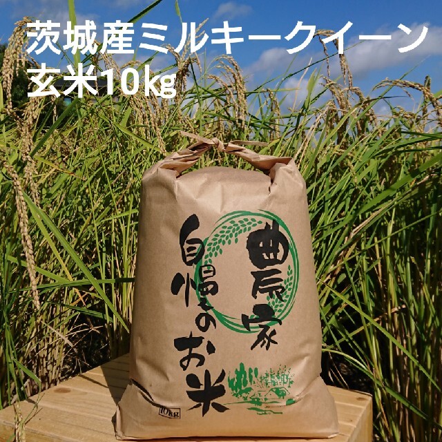 茨城令和2年産ミルキークイーン玄米10㎏ 食品/飲料/酒の食品(米/穀物)の商品写真