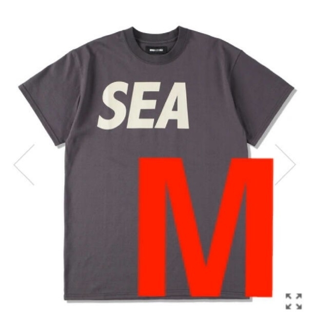 wind and sea  T-SHIRT CHARCOAL-BEIGE  M