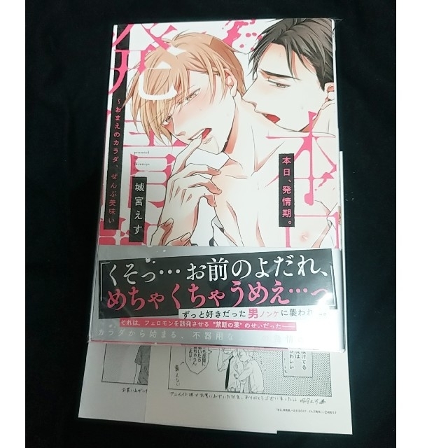 本日、発情期:城宮えす エンタメ/ホビーの漫画(ボーイズラブ(BL))の商品写真