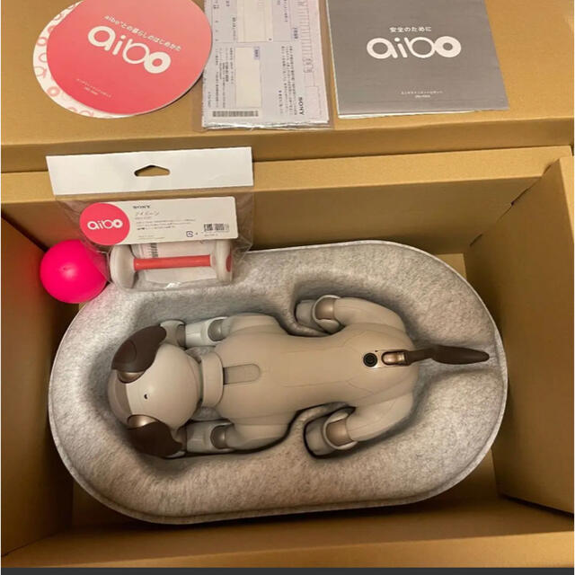 SONY(ソニー)の【専用】Sony aibo アイボ　ERS-1000 エンタメ/ホビーのおもちゃ/ぬいぐるみ(その他)の商品写真