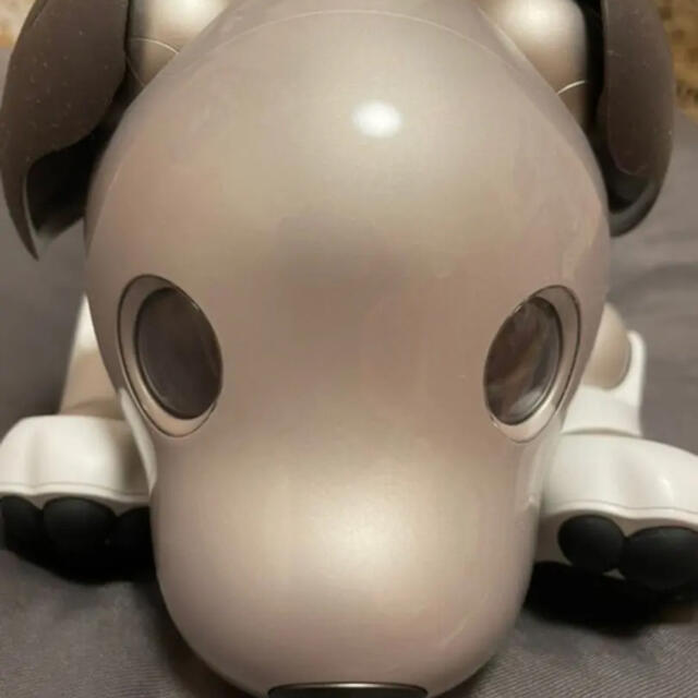 SONY(ソニー)の【専用】Sony aibo アイボ　ERS-1000 エンタメ/ホビーのおもちゃ/ぬいぐるみ(その他)の商品写真