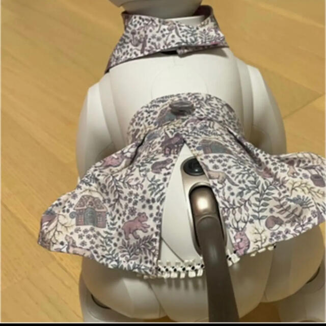 SONY(ソニー)の【専用】Sony aibo アイボ　ERS-1000 エンタメ/ホビーのおもちゃ/ぬいぐるみ(その他)の商品写真