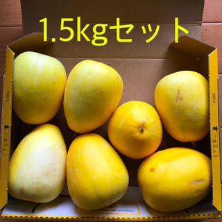 新鮮朝採り夏野菜果物広島県産小マクワウリ(真桑瓜)1.6kgセット(野菜)