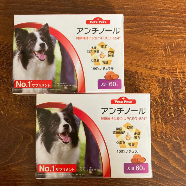 ペット アンチノール犬用60粒2箱セットの通販 by まるこ屋|ラクマ