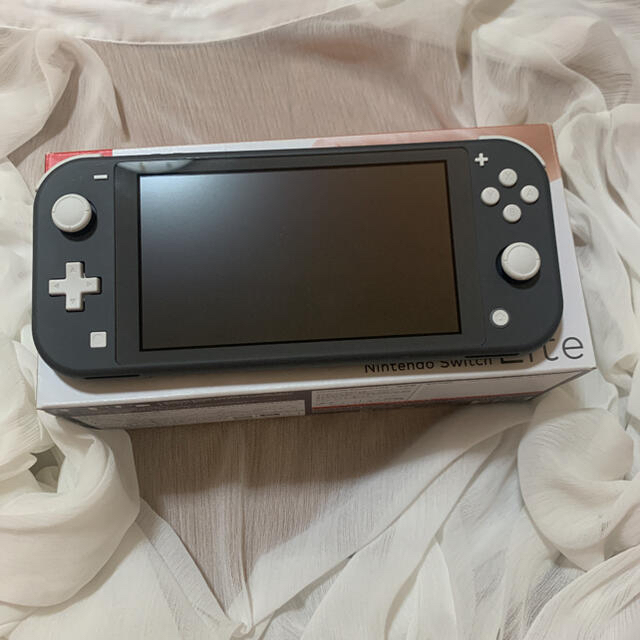 Nintendo Switch LITE グレー(最安値!!)