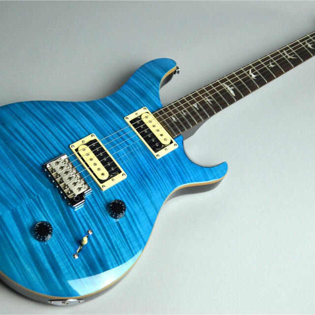 PRS SE CUSTOM22