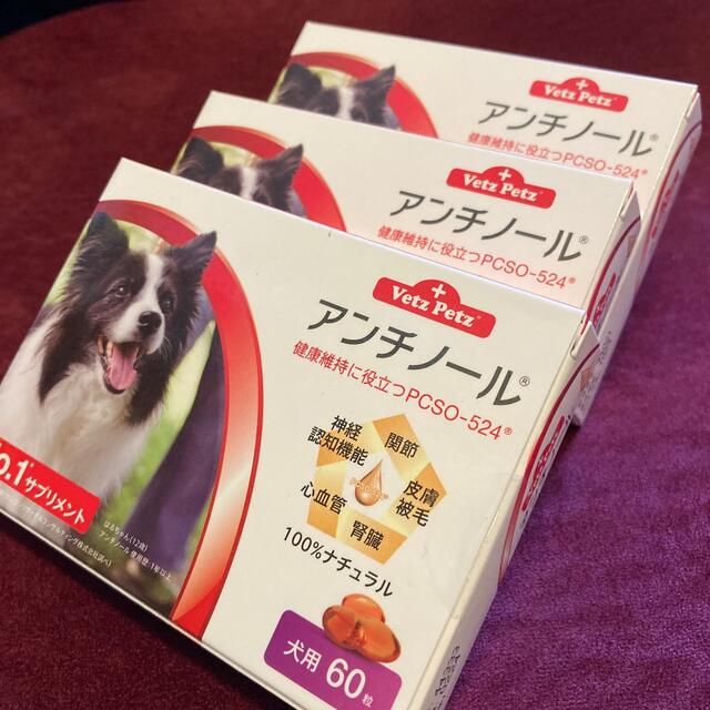 ペット アンチノール犬用60粒2箱セットの通販 by まるこ屋｜ラクマ