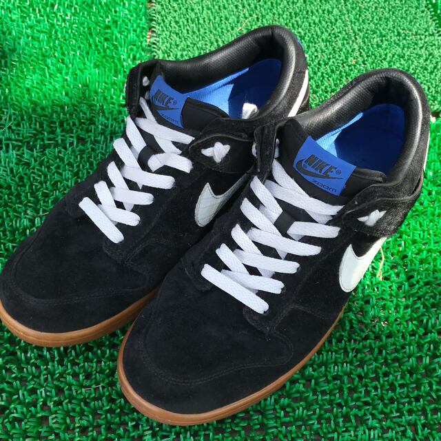 NIKE(ナイキ)のNIKE DUNK LOW HORSE HAIR 28cm メンズの靴/シューズ(スニーカー)の商品写真