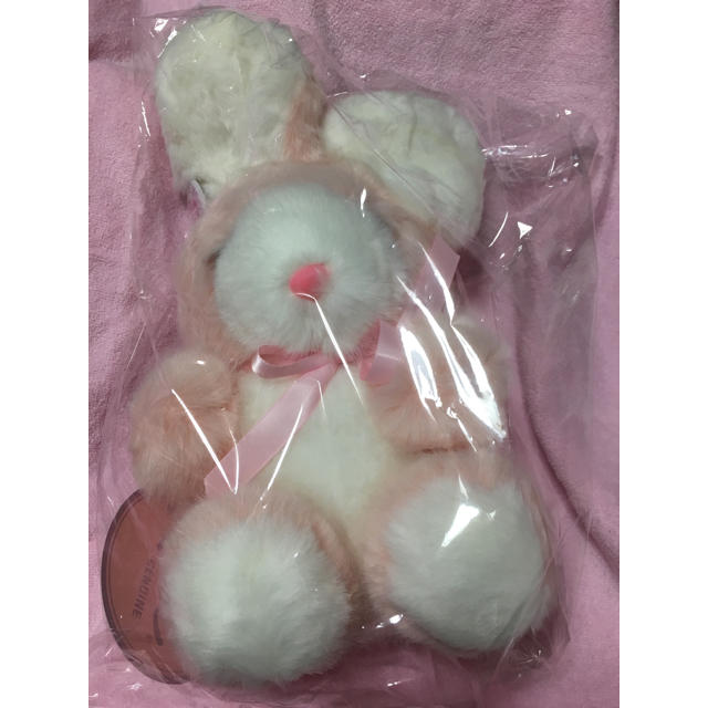 Katie(ケイティー)のみゅりん様専用 Katie 新品 BUNNY うさぎのぬいぐるみ カップケーキ エンタメ/ホビーのおもちゃ/ぬいぐるみ(ぬいぐるみ)の商品写真