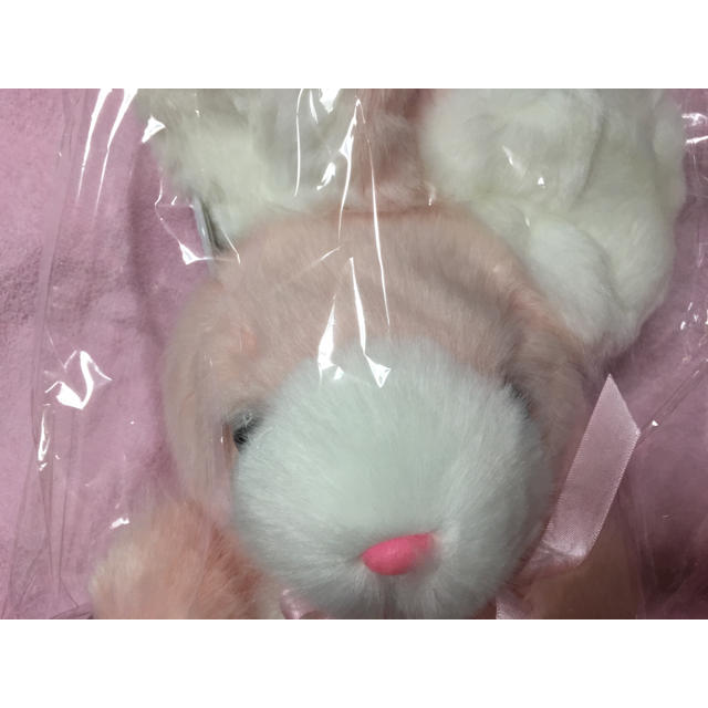 Katie(ケイティー)のみゅりん様専用 Katie 新品 BUNNY うさぎのぬいぐるみ カップケーキ エンタメ/ホビーのおもちゃ/ぬいぐるみ(ぬいぐるみ)の商品写真