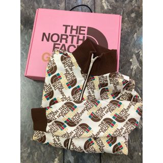 グッチ(Gucci)のGUCCI ✖︎ THE NORTH FACE パーカー ジップアップジャケット(パーカー)