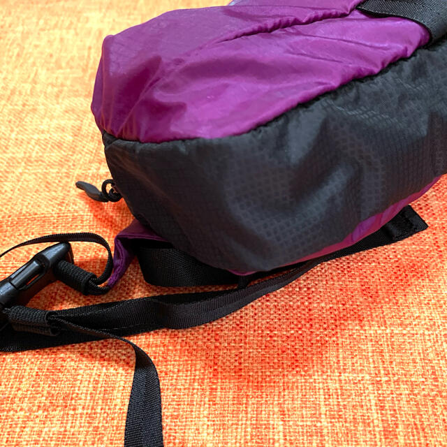THE NORTH FACE(ザノースフェイス)のノースフェイス フライウェイトヒップポーチ 紫 メンズのバッグ(ショルダーバッグ)の商品写真