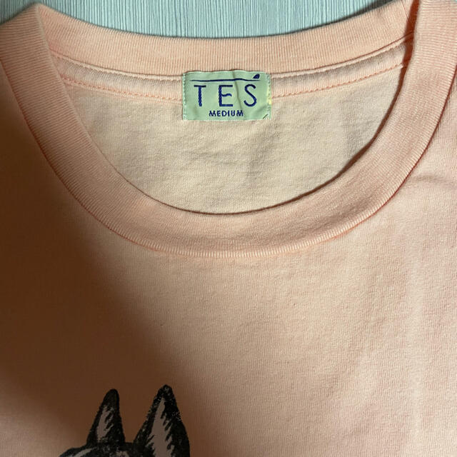 Ron Herman(ロンハーマン)のTES TシャツMサーモンピンク　エンドレスサマー　TCSS メンズのトップス(Tシャツ/カットソー(半袖/袖なし))の商品写真