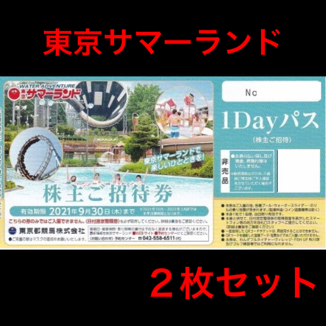 東京サマーランド 株主ご招待券 フリーパスチケット 6枚 無力化するアンチチート チケット