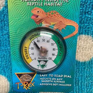 T-Rex は虫類/両生類用 アナログ湿度計（新品）A(爬虫類/両生類用品)