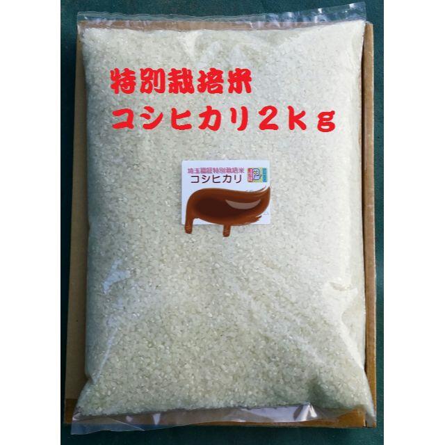 りー様専用 【JAS認定】有機米10キロ 玄米