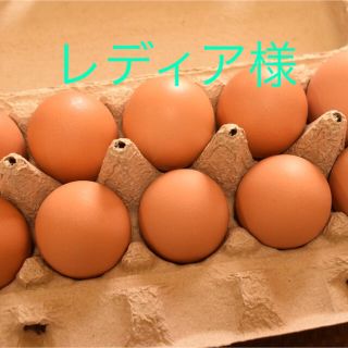 レディア様専用　平飼いたまご30個(野菜)