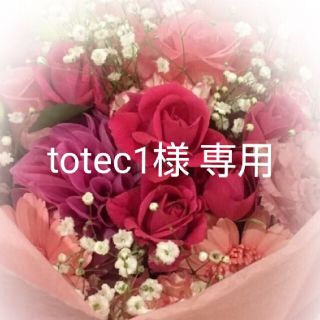 totec1様 専用 新品・未開封品　無水クエン酸950g 食用 (その他)