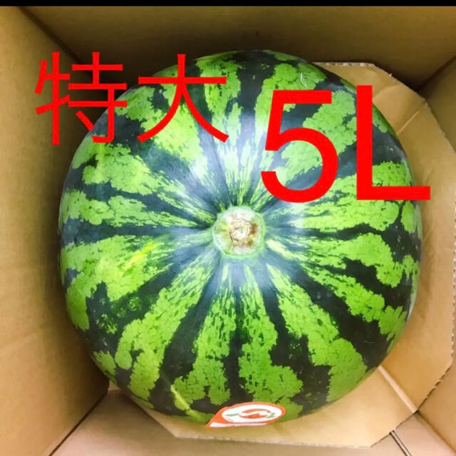 山形県産　尾花沢スイカ　5Lサイズ