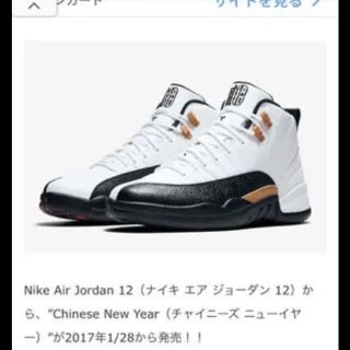 ナイキ(NIKE)のNIKE AIR JORDAN12 チャイニーズニューイヤー(スニーカー)