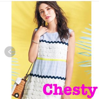 チェスティ(Chesty)のチェスティ Chesty レース ジャガード ワンピース (ひざ丈ワンピース)