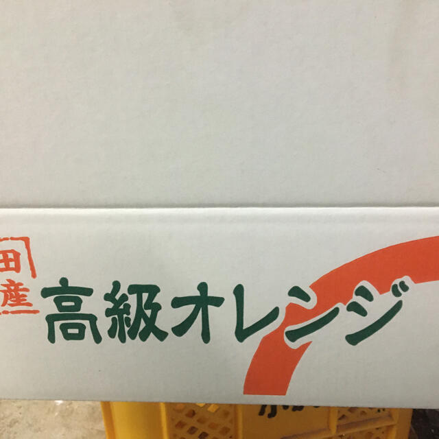 訳あり　LL 5kg 国産バレンシアオレンジ　送料無料　有田みかん和歌山県産 食品/飲料/酒の食品(フルーツ)の商品写真