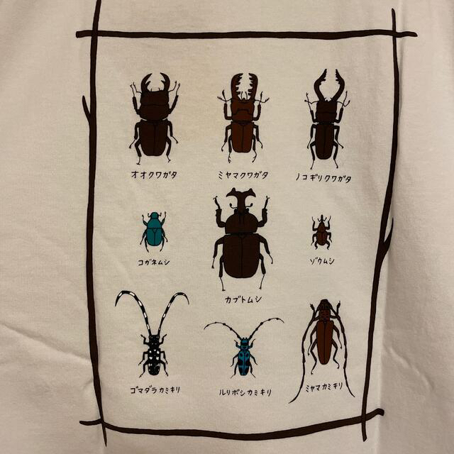 モンベル　クワガタ　カブトムシ　カミキリ　Tシャツ　タグ無し　未使用