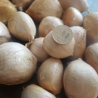 【詰め放題】ジャンボにんにく　ばら(野菜)