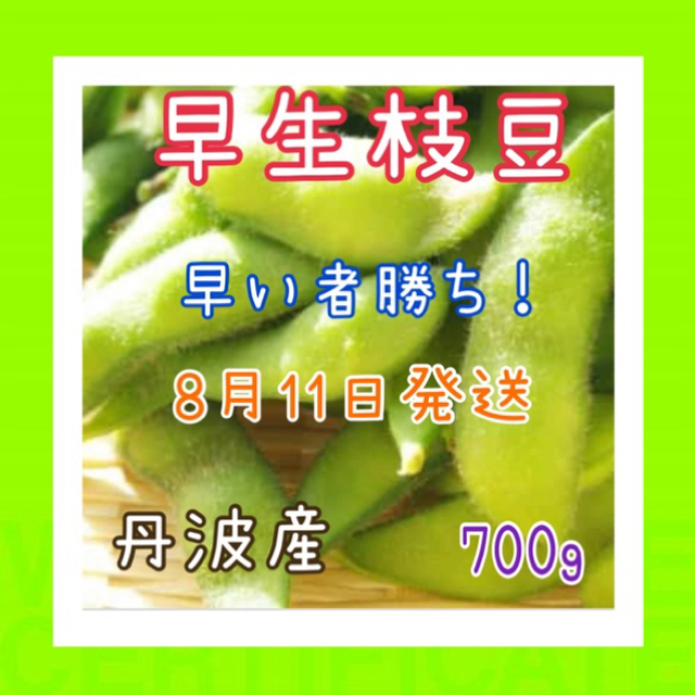 甘い‼️早生枝豆❗️限定品です❗️ 食品/飲料/酒の食品(野菜)の商品写真