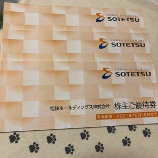 5冊　相鉄ホールディングス　株主優待券(ショッピング)