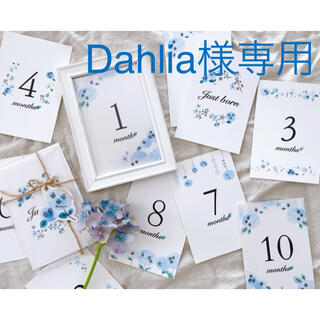 【Dahlia様専用】マンスリーカード 月齢カード　紫陽花　北欧　水彩　6月(アルバム)