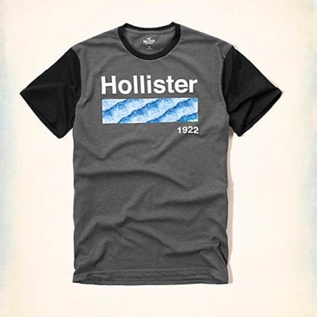 Hollister - S★送料込★ホリスター Tシャツ HOLLISTERの通販 by ホリスター フリル店's shop｜ホリスターならラクマ